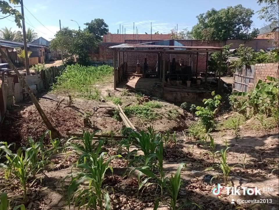 Terreno en Yurimaguas, Loreto — foto 2