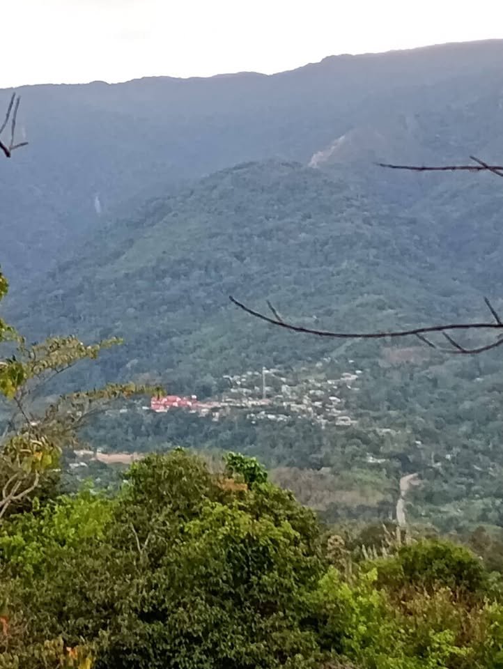 Chacra en La Banda de Shilcayo, San Martín — foto 2