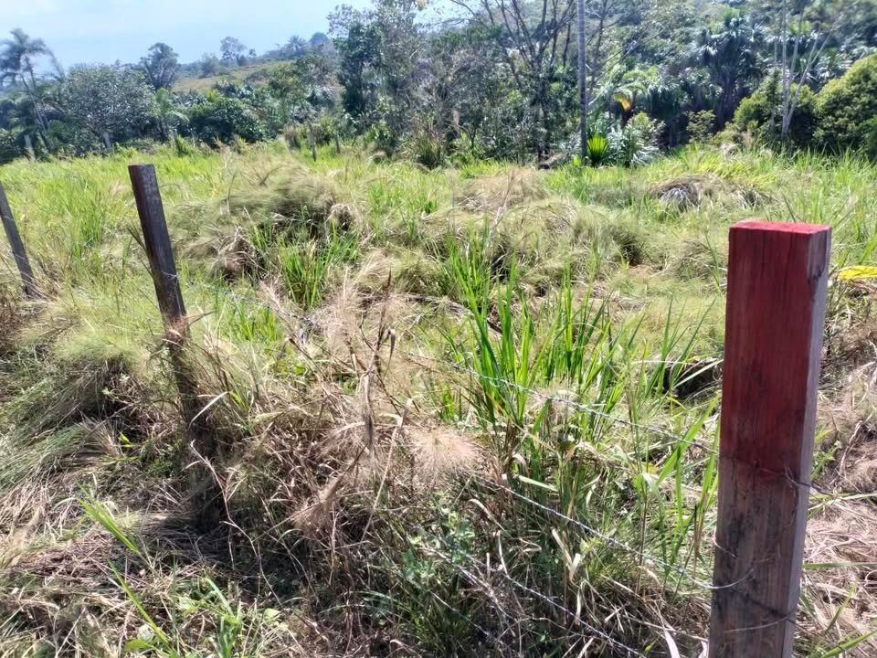 Terreno en Iquitos, Loreto — foto 4