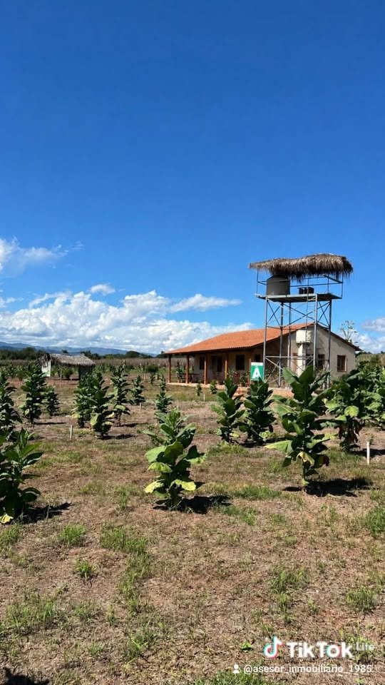 Lote en Tarapoto, San Martín — foto 4