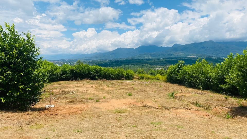 Quinta / casa de campo en Tarapoto, San Martín — foto 3