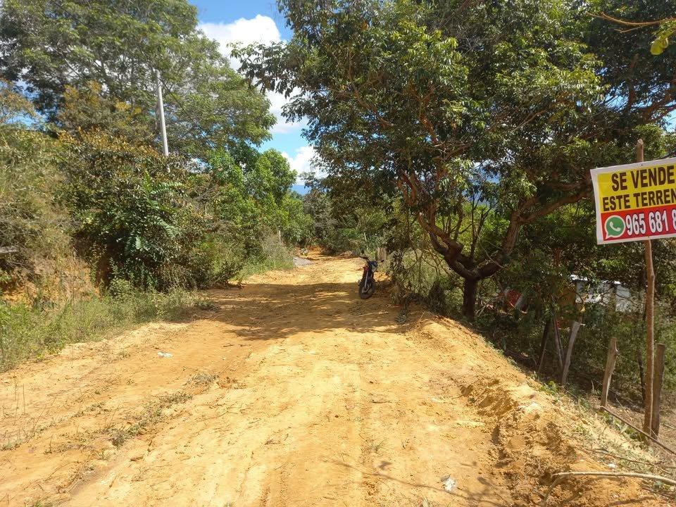 Lote en Lamas, San Martín — foto 3