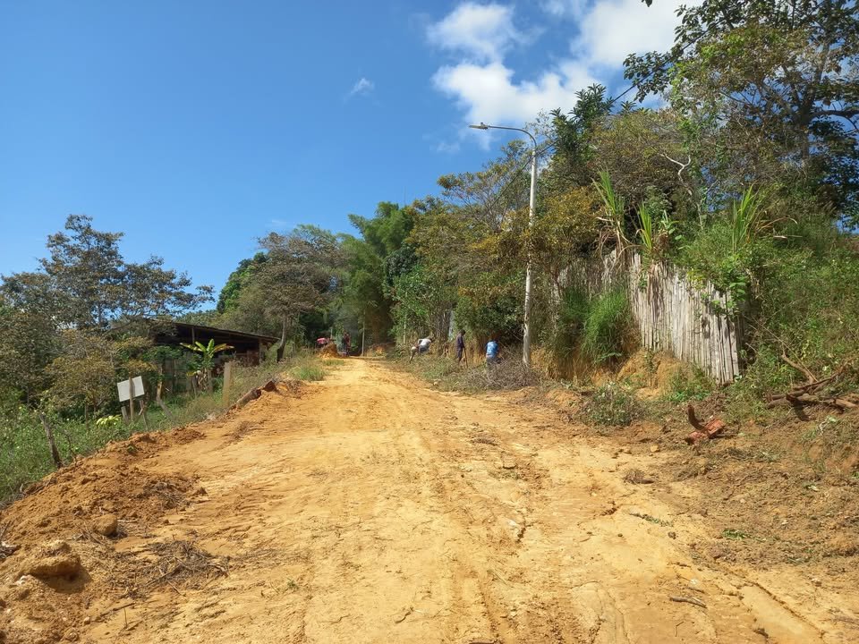 Lote en Lamas, San Martín — foto 5