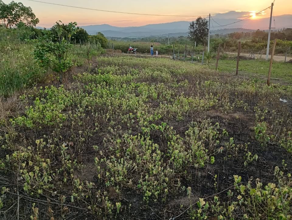 Lote en La Banda de Shilcayo, San Martín — foto 2