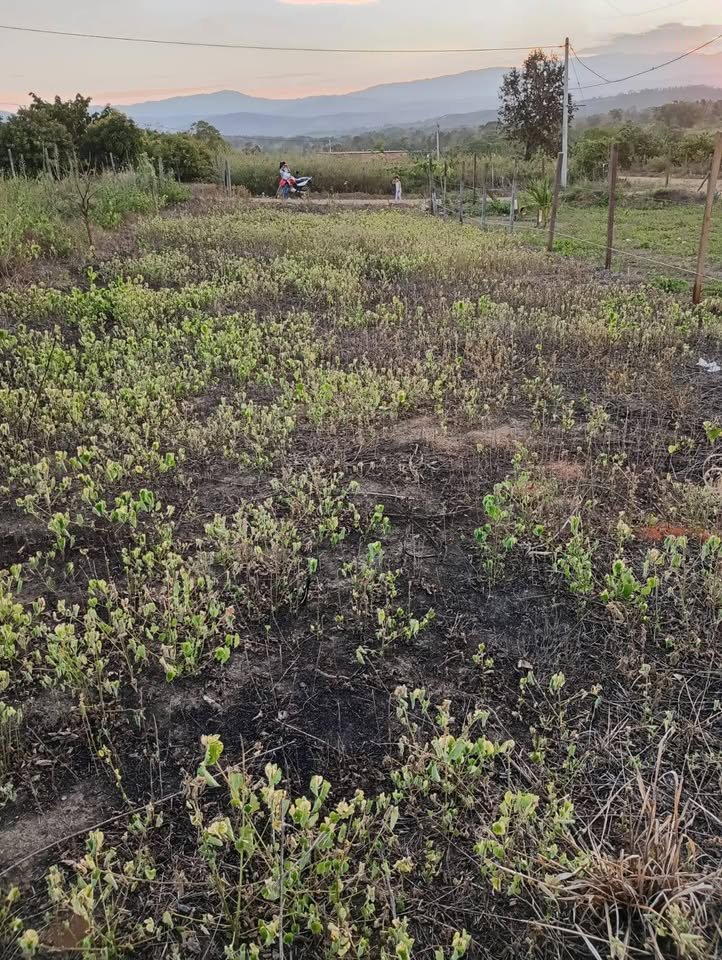 Lote en La Banda de Shilcayo, San Martín — foto 4