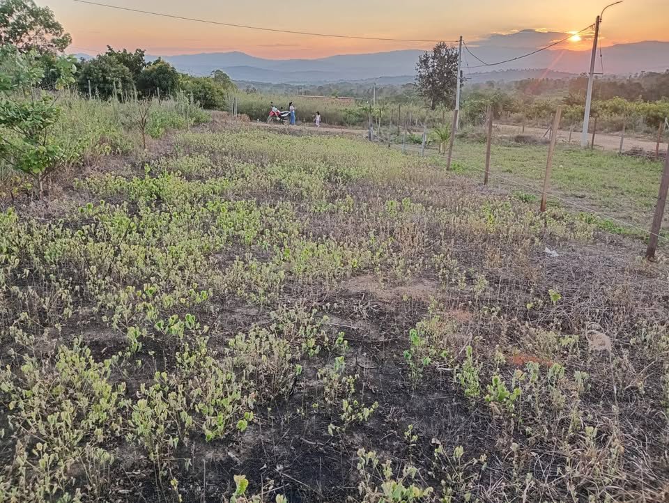 Lote en La Banda de Shilcayo, San Martín — foto 5