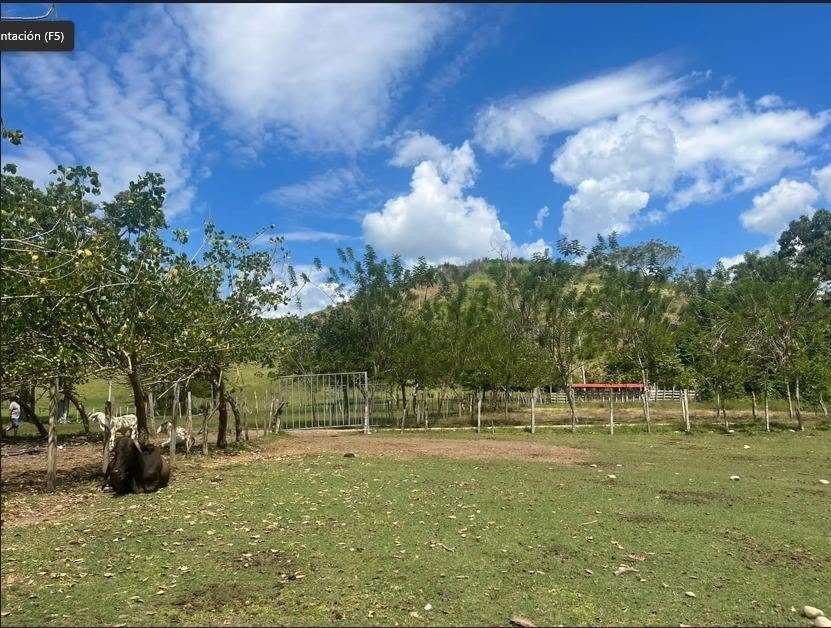 Chacra en San José de Sisa, San Martín — foto 3