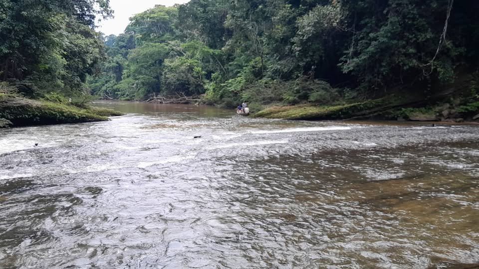 Chacra en Tarapoto, San Martín — foto 2
