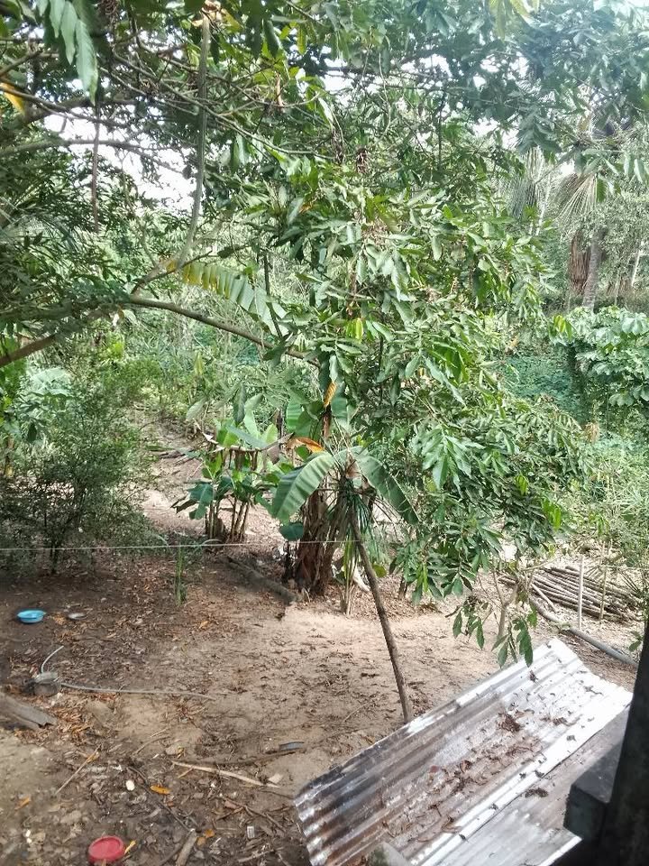 Lote en Yurimaguas, Loreto — foto 4