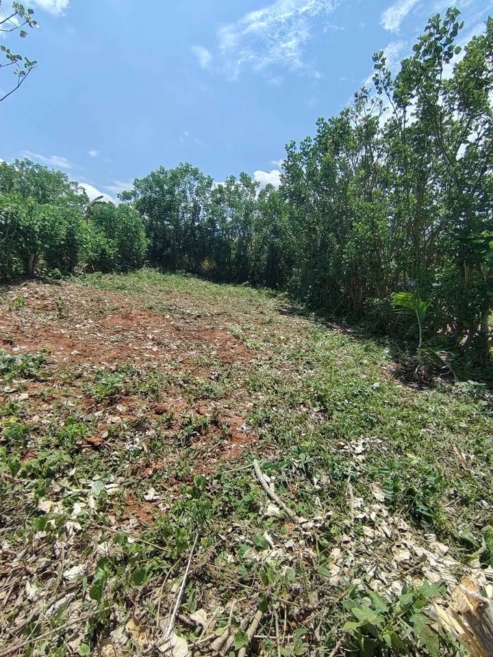 Terreno en La Banda de Shilcayo, San Martín — foto 2