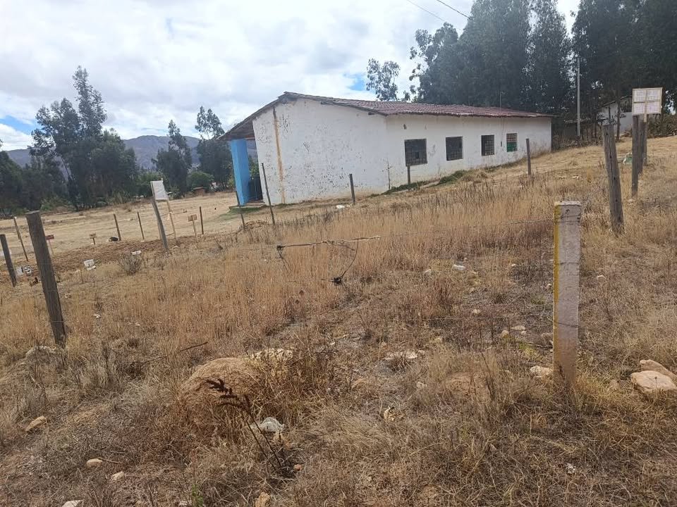 Lote en Cajamarca, Cajamarca — foto 3