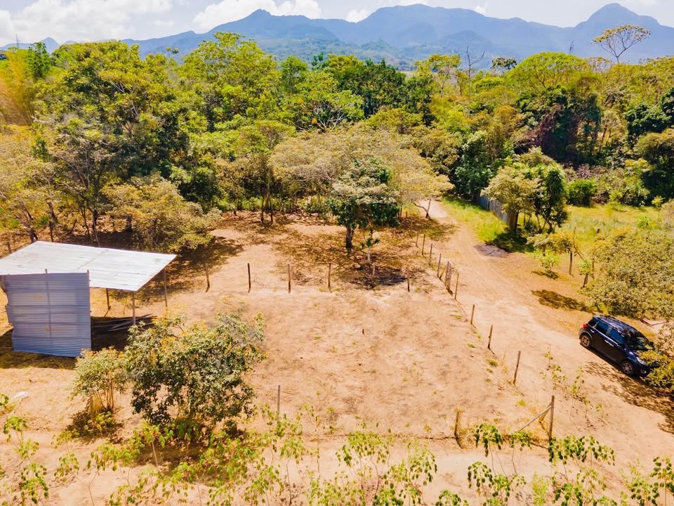 Lote en Tarapoto, San Martín — foto 6