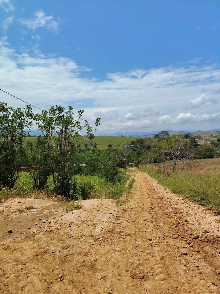 Terreno en La Banda de Shilcayo, San Martín — foto 3