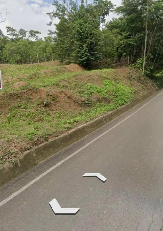 Terreno en Tarapoto, San Martín — foto 2