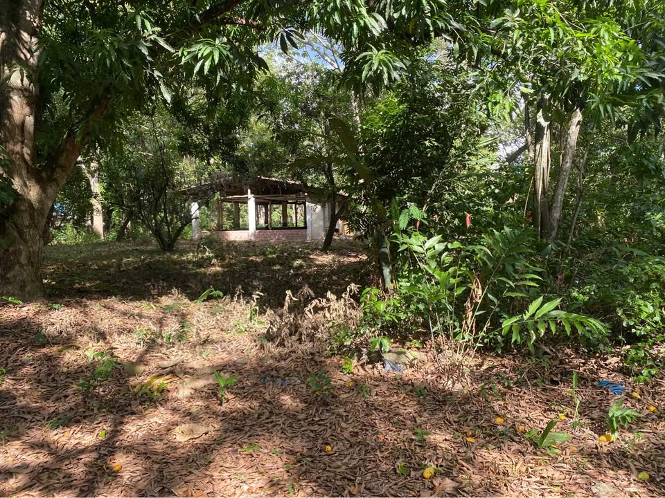 Lote en Morales, San Martín — foto 3