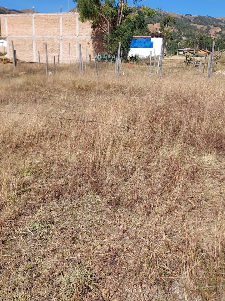 Lote en Cajamarca, Cajamarca — foto 2