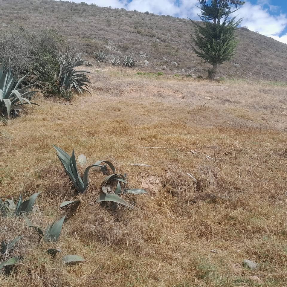 Lote en Celendín, Cajamarca — foto 2