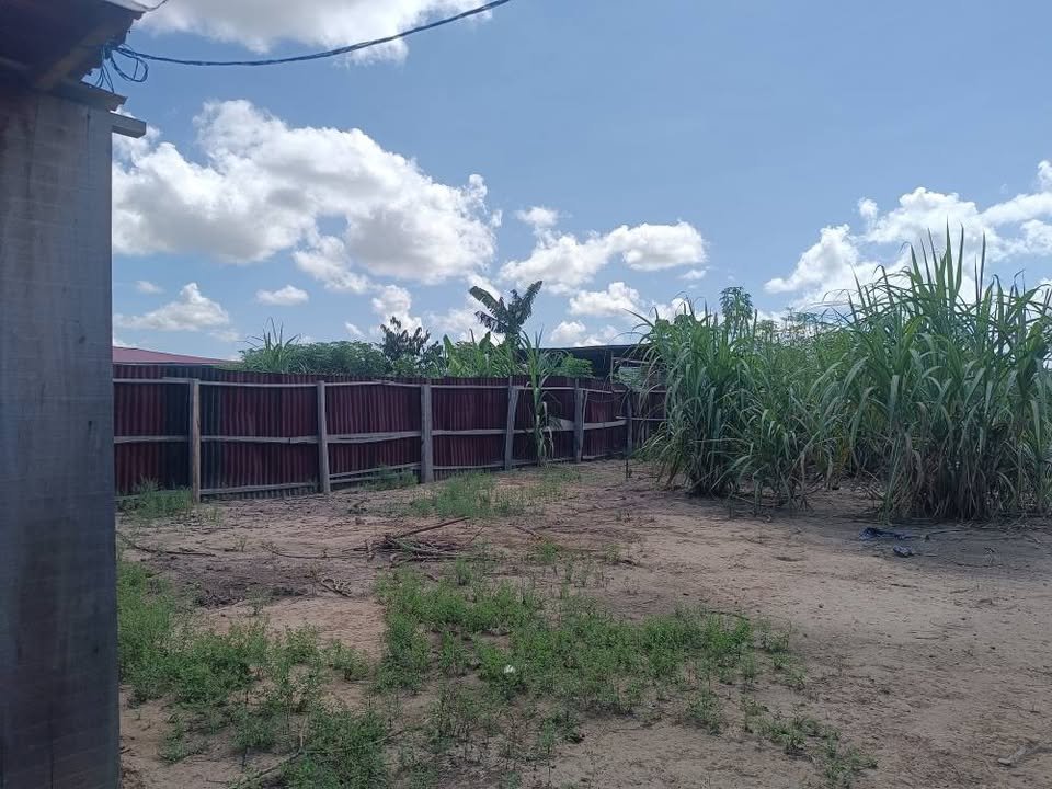 Lote en Callería, Ucayali — foto 4