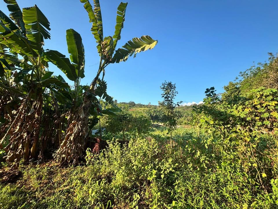 Lote en Tarapoto, San Martín — foto 3