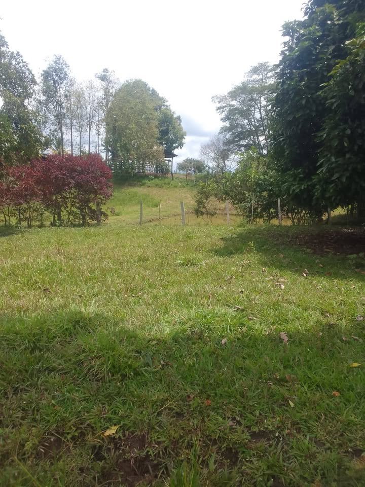 Finca / fundo en Moyobamba, San Martín — foto 2