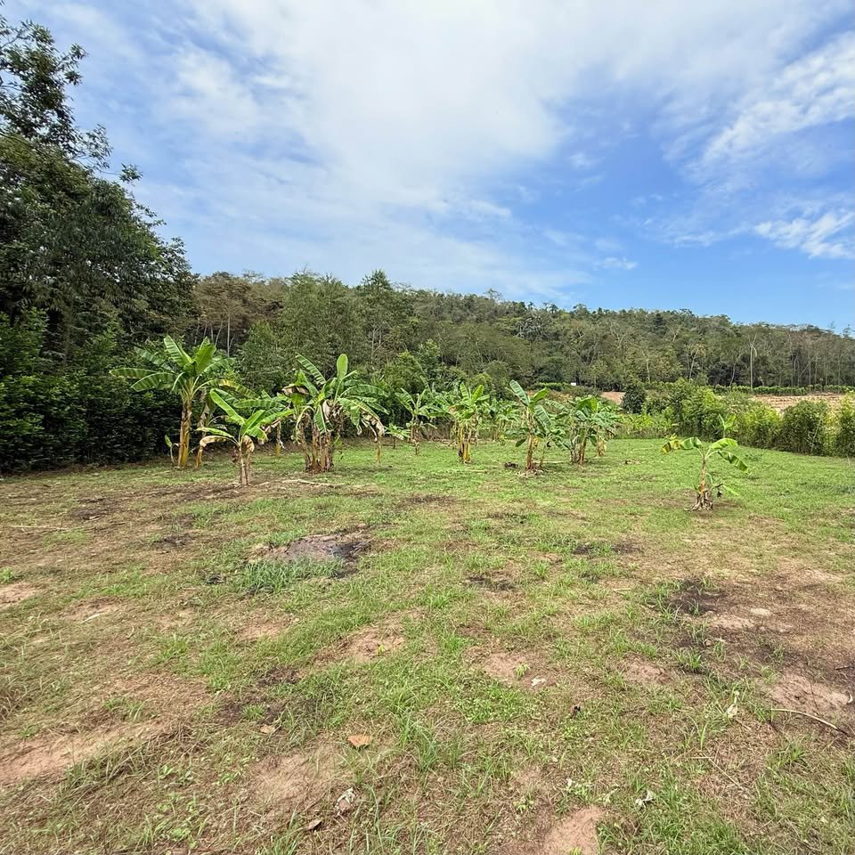 Terreno en Morales, San Martín — foto 3