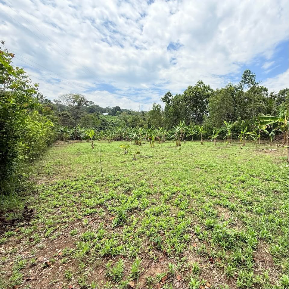 Terreno en Morales, San Martín — foto 5