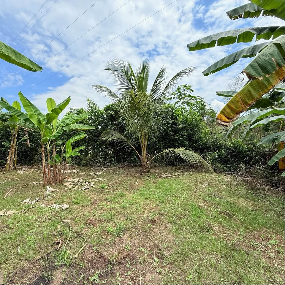 Terreno en Morales, San Martín — foto 6