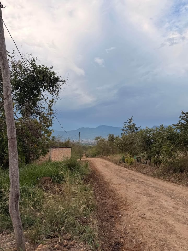 Lote en Tarapoto, San Martín — foto 5