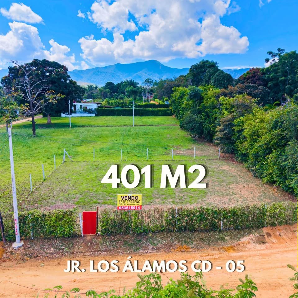 Lote en La Banda de Shilcayo, San Martรญn โ foto 2