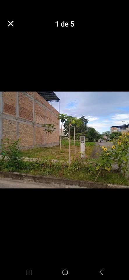 Lote en Tarapoto, San Martín — foto 3