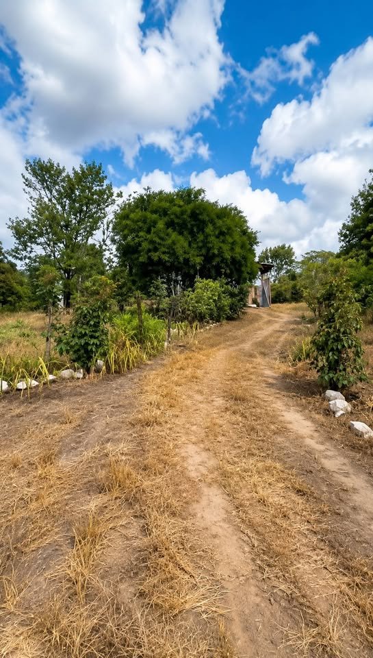 Chacra en Rioja, San Martín — foto 3