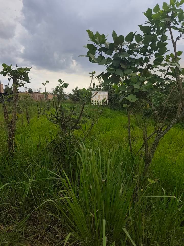 Lote en Moyobamba, San Martín — foto 2