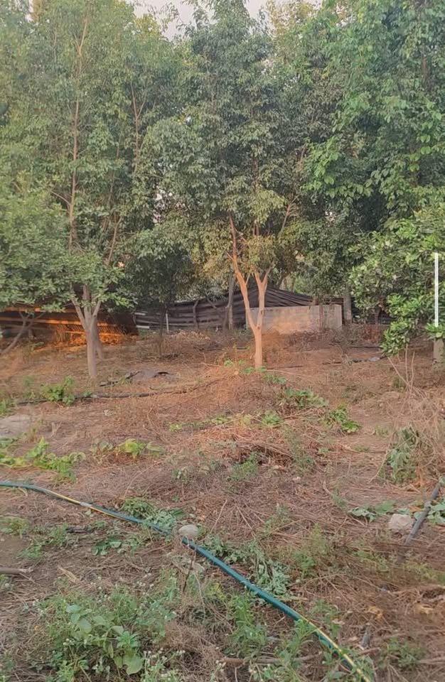 Lote en Motupe, Lambayeque — foto 4
