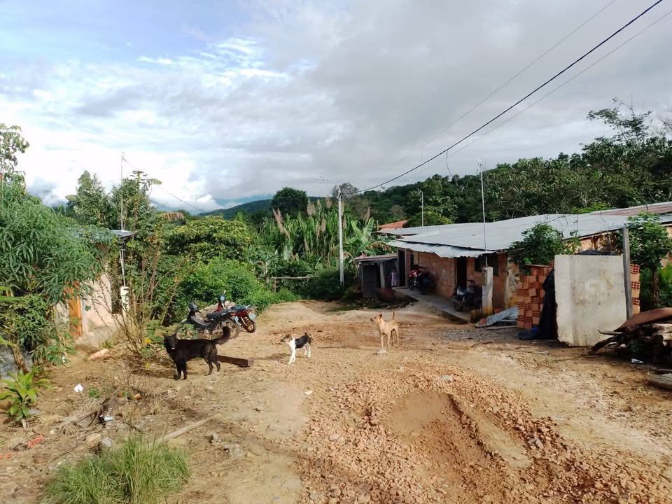 Lote en Lamas, San Martín — foto 5
