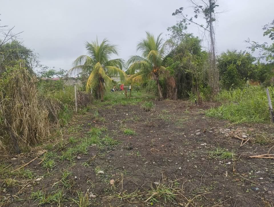 Terreno en Juanjuí, San Martín — foto 3