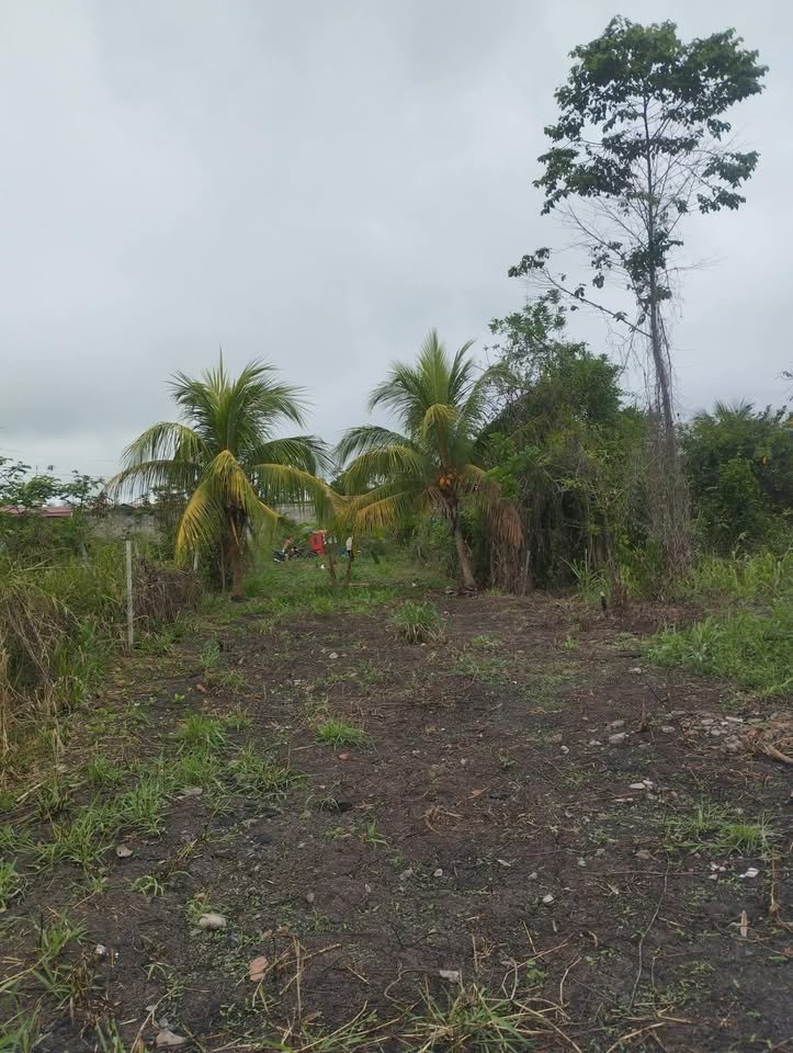 Terreno en Juanjuí, San Martín — foto 4