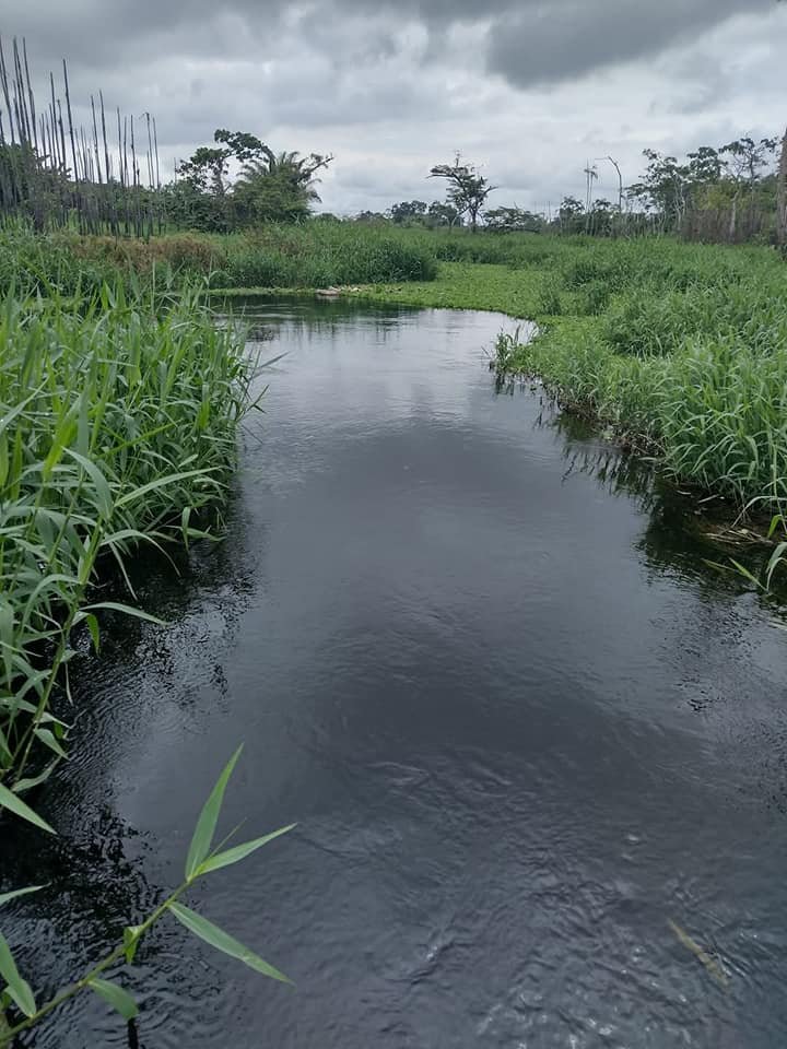 Terreno en Iquitos, Loreto — foto 2