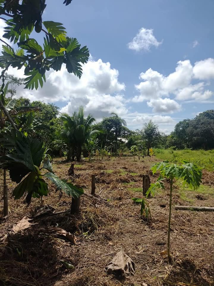 Terreno en Iquitos, Loreto — foto 6