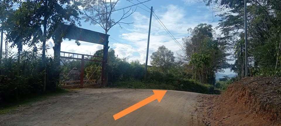 Lote en Moyobamba, San Martín — foto 3