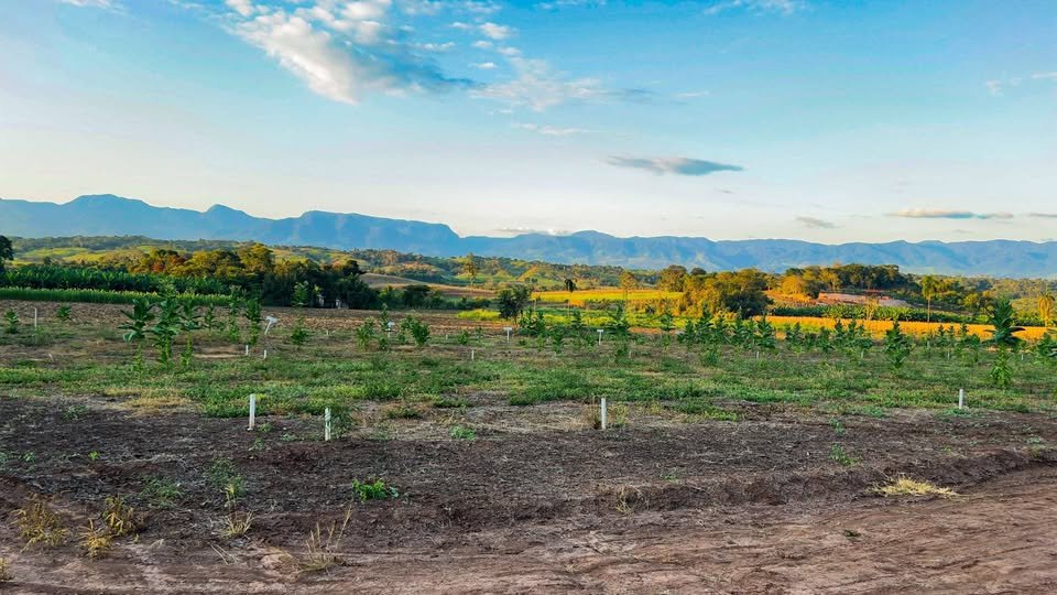 Lote en Tarapoto, San Martín — foto 6