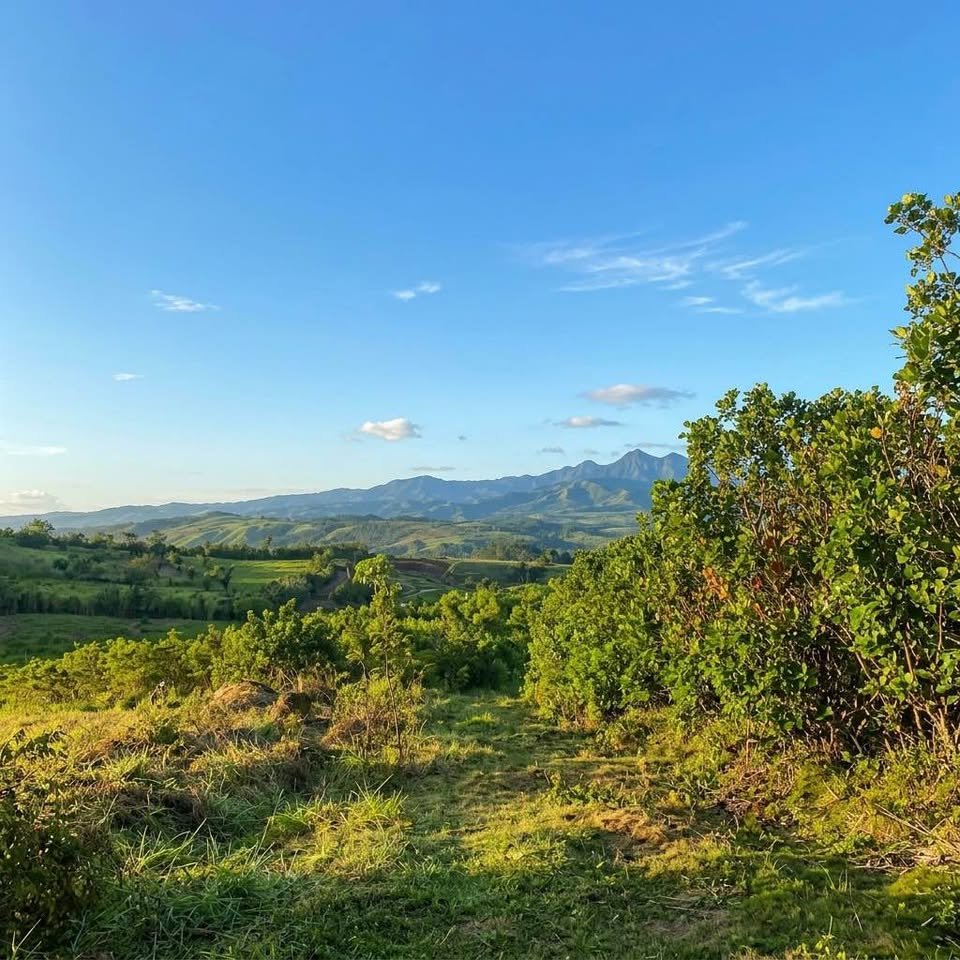 Lote en La Banda de Shilcayo, San Martín — foto 4