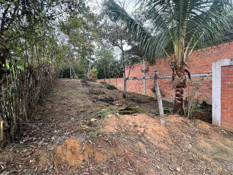 Terreno en Lamas, San Martín — foto 3
