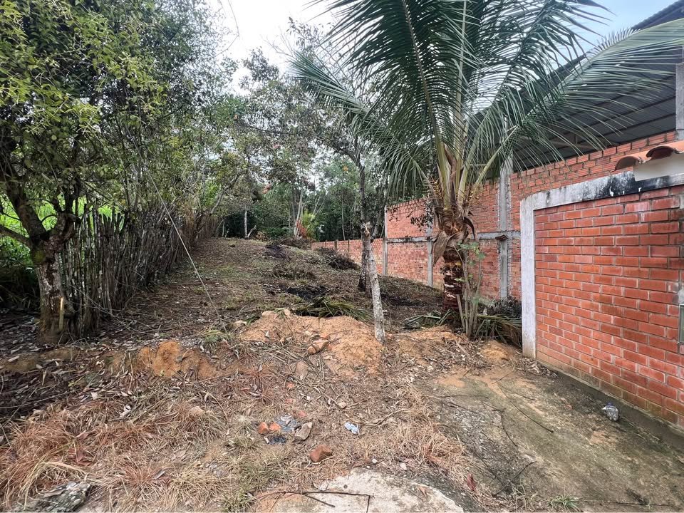Terreno en Lamas, San Martín — foto 4