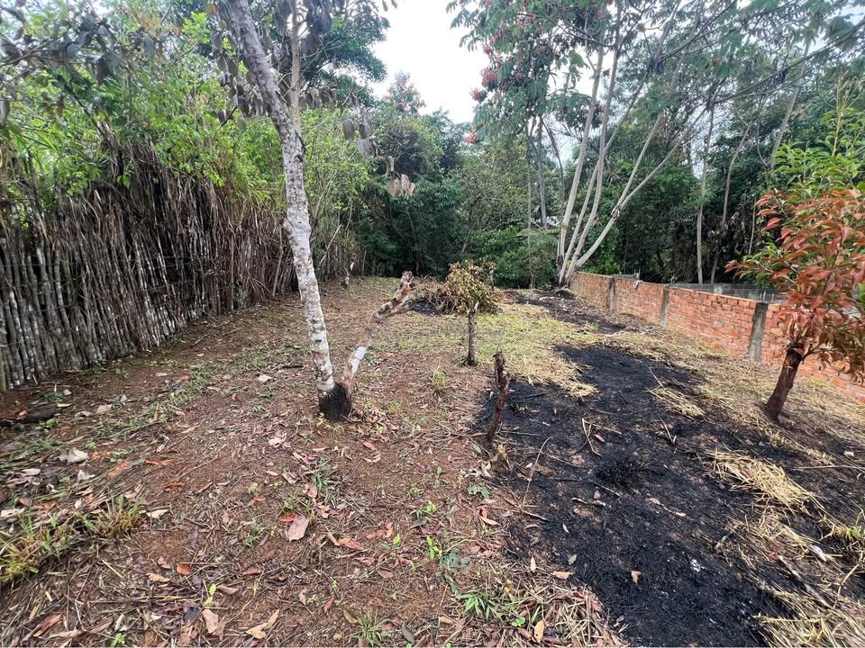Terreno en Lamas, San Martín — foto 5