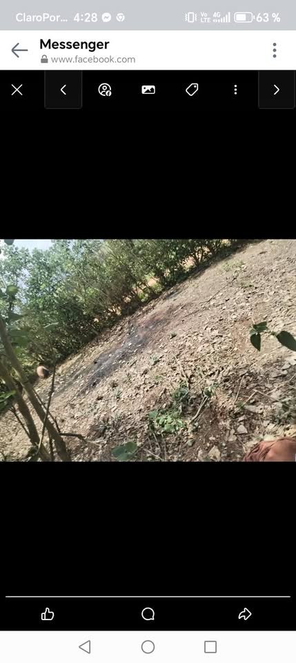 Lote en La Banda de Shilcayo, San Martín — foto 4