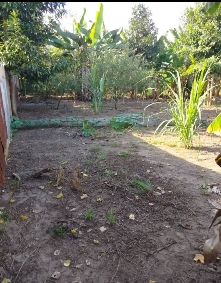 Lote en Tarapoto, San Martín — foto 2