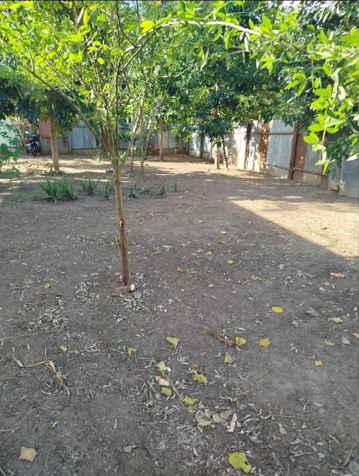 Lote en Tarapoto, San Martín — foto 3