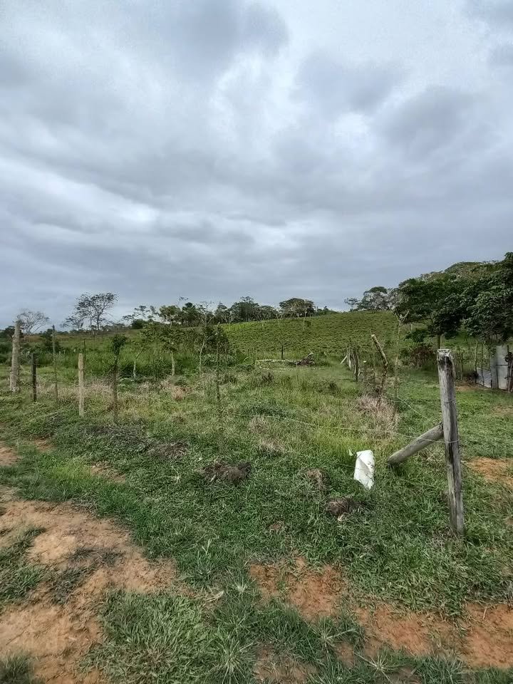 Lote en Moyobamba, San Martín — foto 4