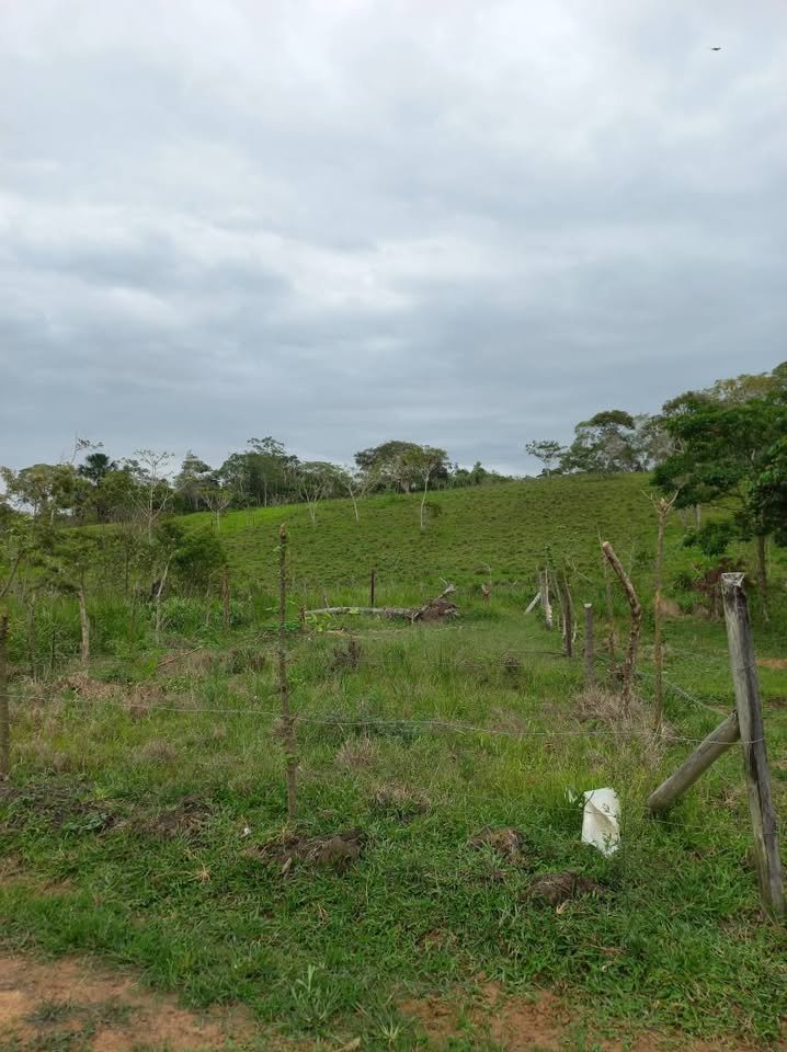 Lote en Moyobamba, San Martín — foto 5