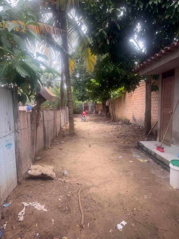 Terreno en Tarapoto, San Martín — foto 2